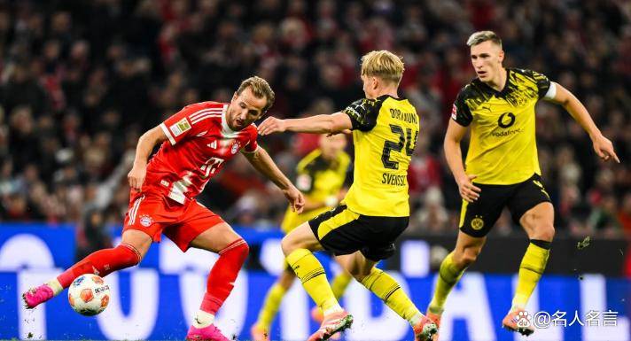 关于马赛完胜韩国，哈里·凯恩统治全场的信息