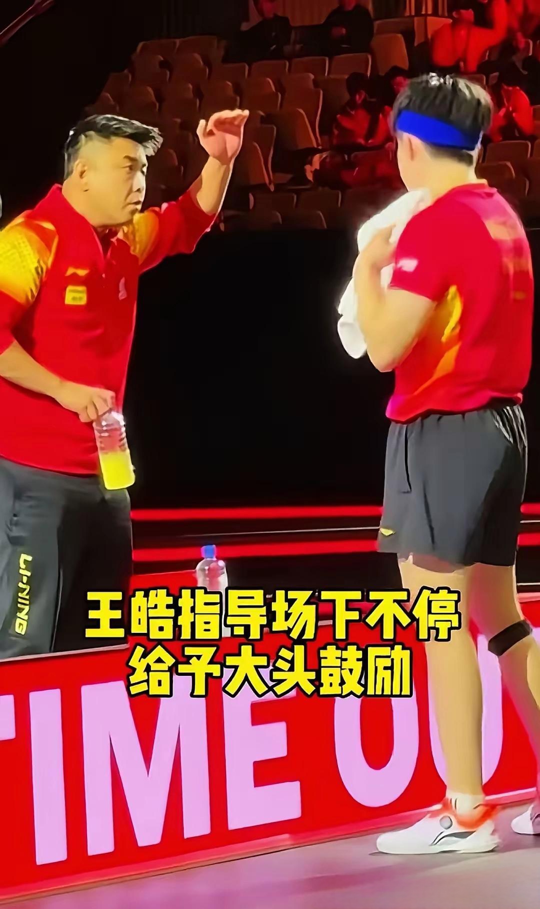 法国乒乓球队绝杀比利时乒乓球队，王皓送出助攻的简单介绍