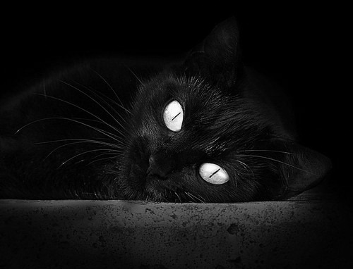 从哥斯达黎加到2026，足球世界的权力转移与佩德里的时代宣言